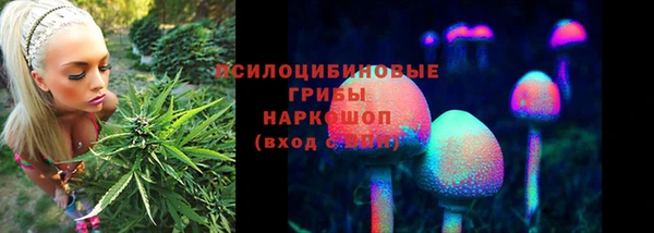 ГАЛЛЮЦИНОГЕННЫЕ ГРИБЫ Арсеньев