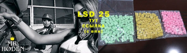 стаф Аркадак