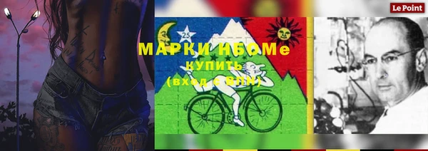 ГАЛЛЮЦИНОГЕННЫЕ ГРИБЫ Арсеньев