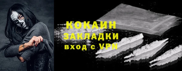 ГАЛЛЮЦИНОГЕННЫЕ ГРИБЫ Арсеньев