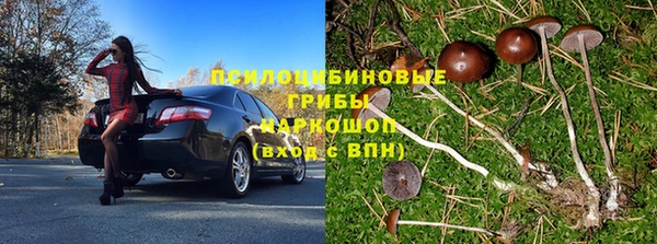 стаф Аркадак