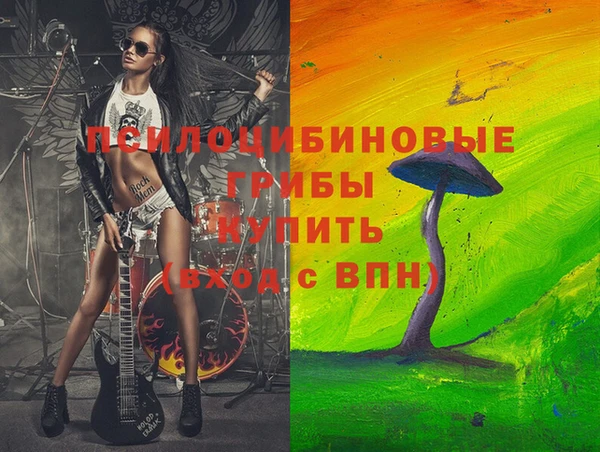 мдпв Армянск