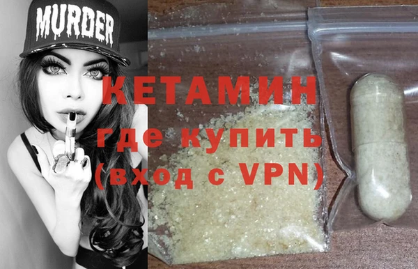 стаф Аркадак
