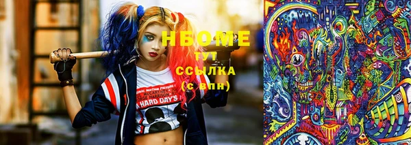 стаф Аркадак