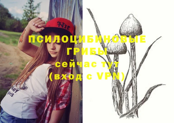 мдпв Армянск