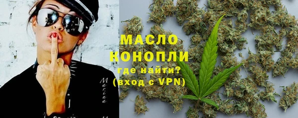 стаф Аркадак