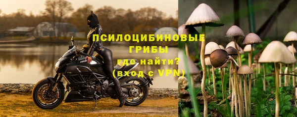 ГАЛЛЮЦИНОГЕННЫЕ ГРИБЫ Арсеньев