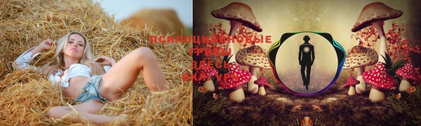 мдпв Армянск