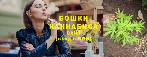 стаф Аркадак